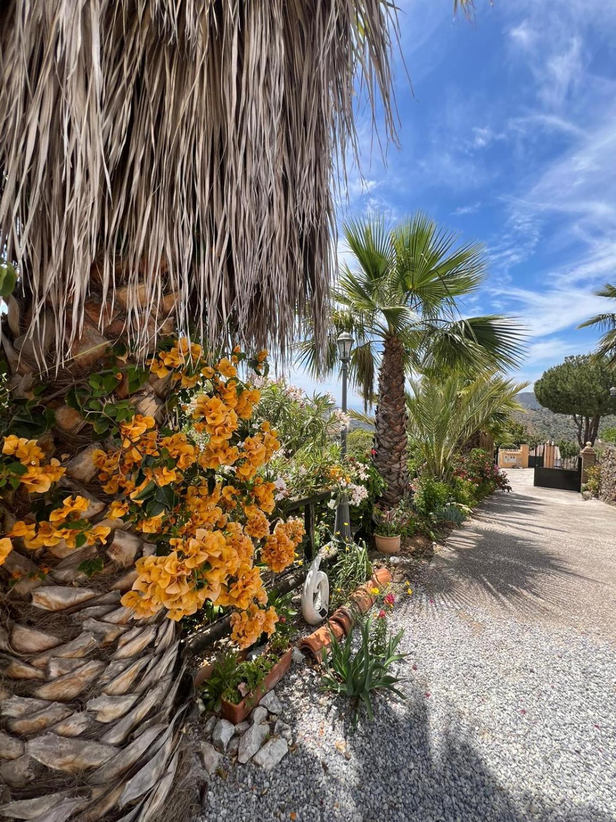 Los Olivos Malaga Exterior photo